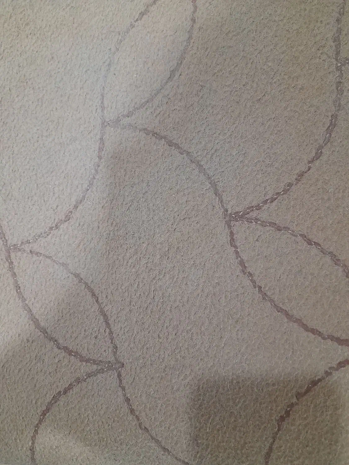 موکت ۸۵متری|موکت|ایوان, |دیوار