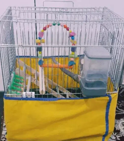 قفس برای تمامی پرنده ها با تمام وسایل|لوازم جانبی حیوانات|سنندج, |دیوار