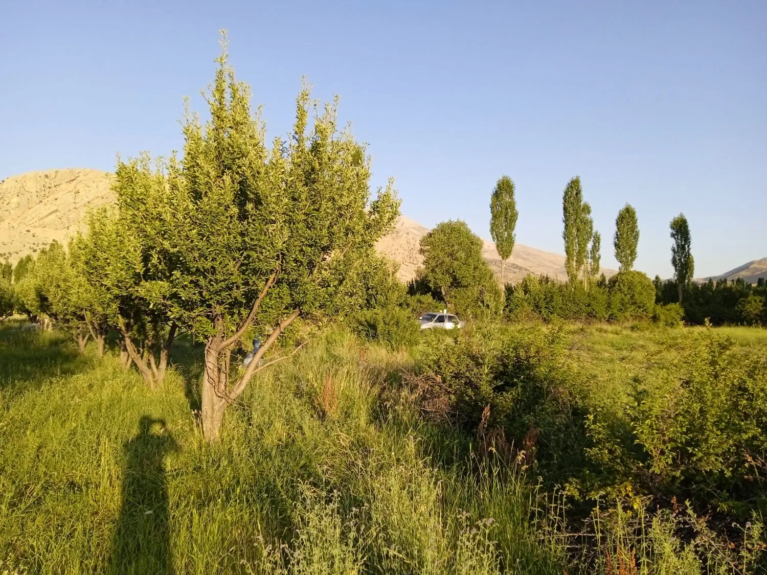 تصویر 6