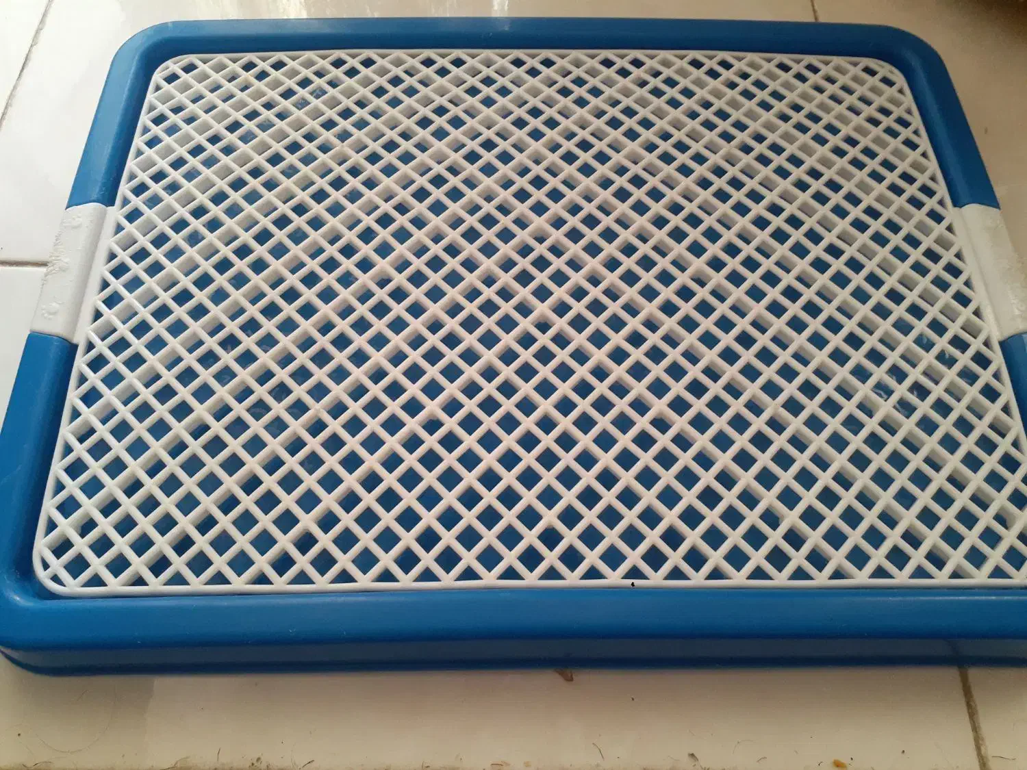 لوازم باکس و سینی حیوانات خانگی|لوازم جانبی حیوانات|صدرا-فارس, فاز ۱|دیوار