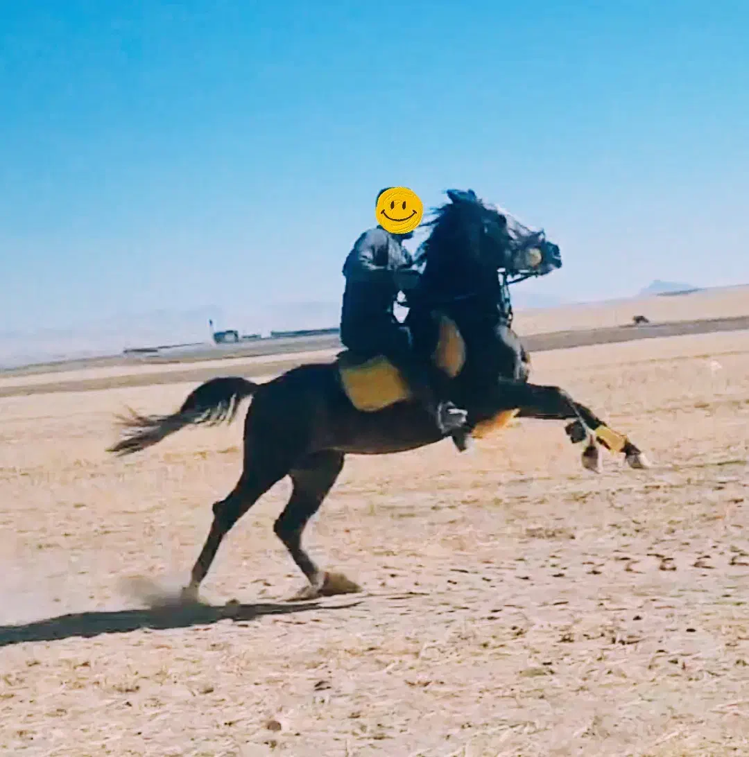 نریان کرد|اسب و تجهیزات اسب‌سواری|قیدار, |دیوار