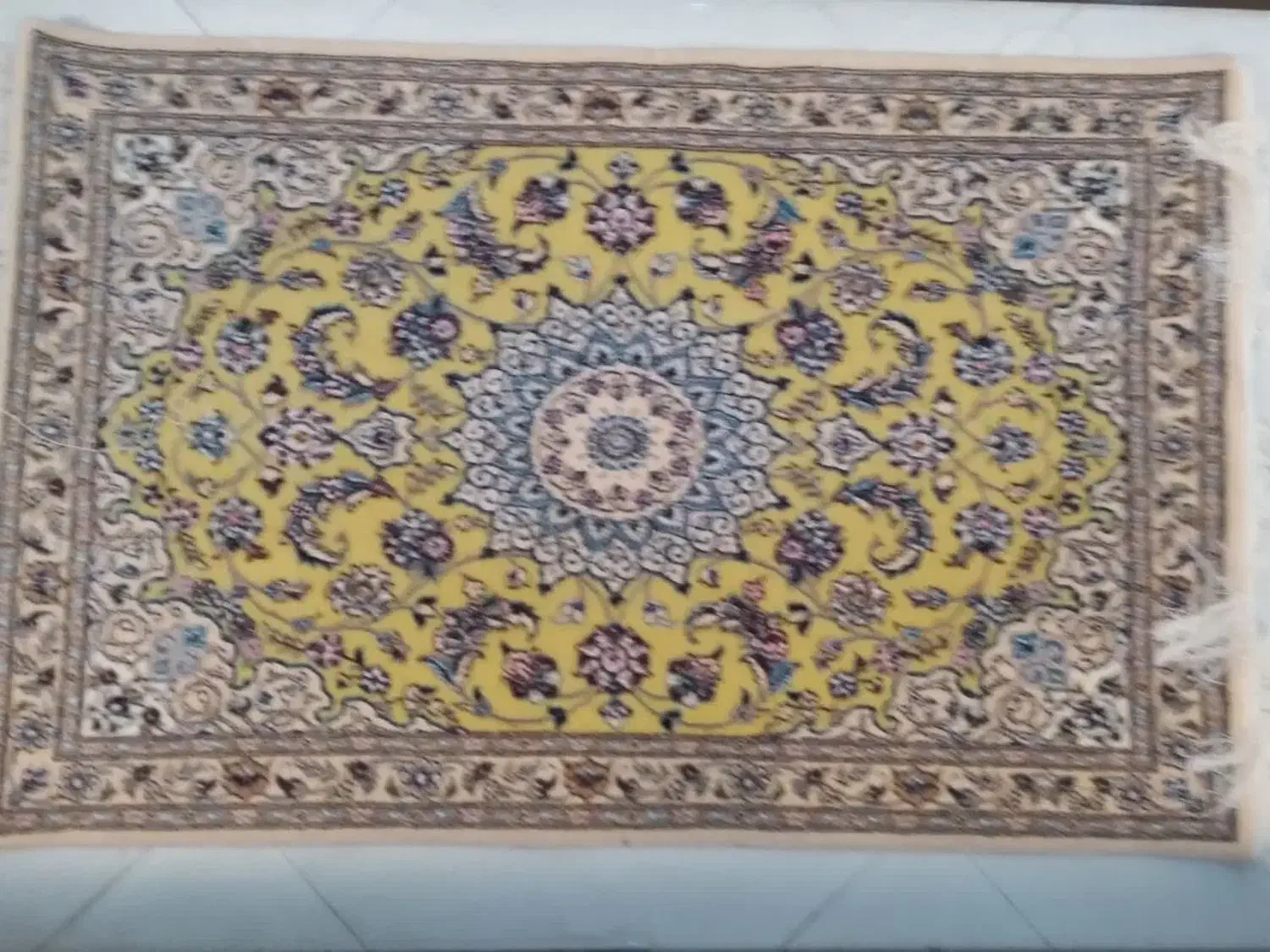 زر و نیم پشتی نائینی نائینی (نو)|فرش|اصفهان, دشتستان|دیوار