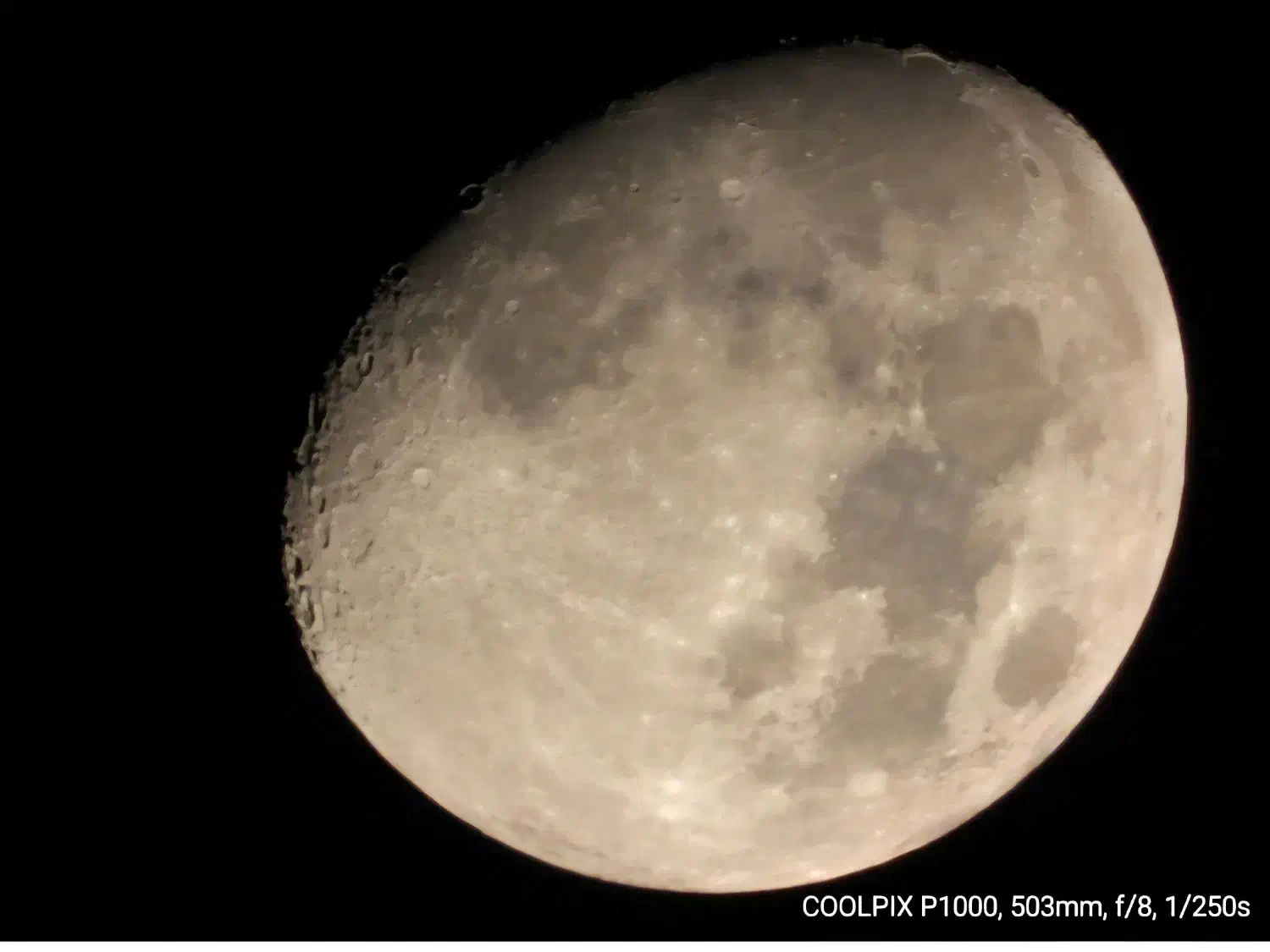 دوربین سوپرزوم نیکون P1000 با 125X زوم|دوربین عکاسی و فیلمبرداری|بندرعباس, |دیوار