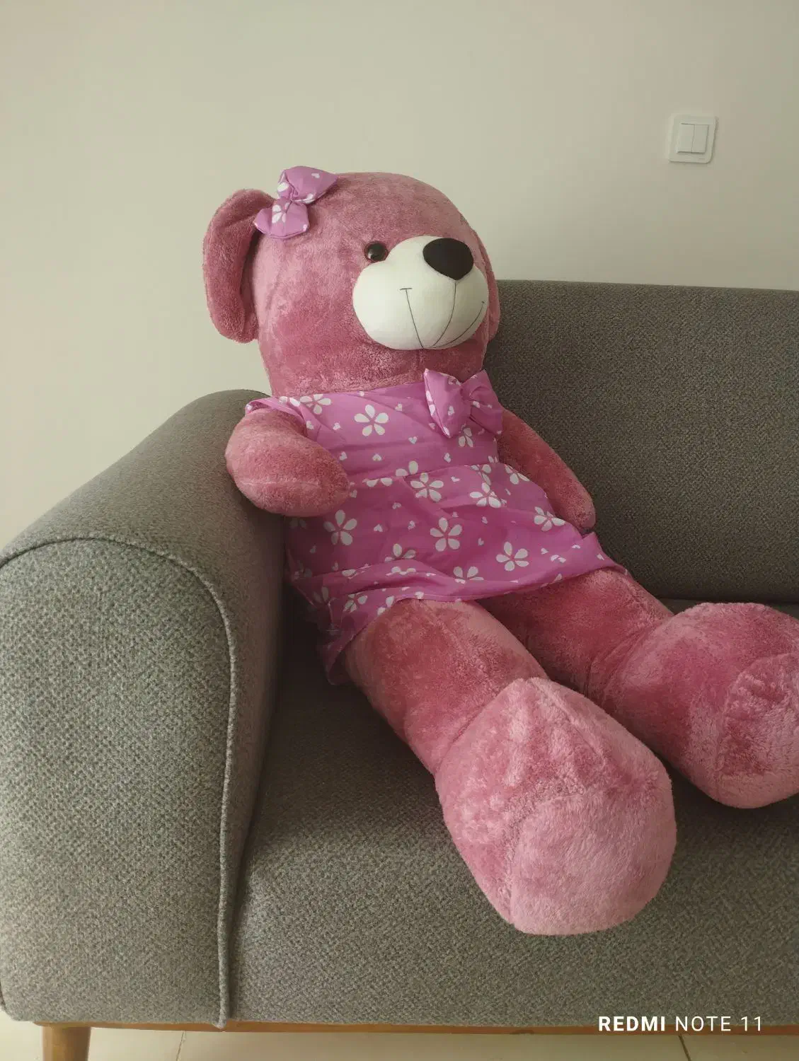 شاسخین زیبا و خوشرنگ در حد نونونو|اسباب‌‌بازی|اصفهان, شاهد|دیوار