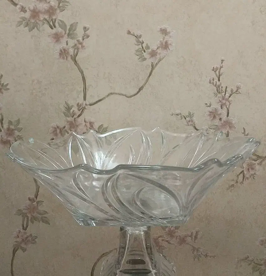 ظروف و لیوان چینی و ارکپال|ظروف سرو و پذیرایی|جهرم, |دیوار