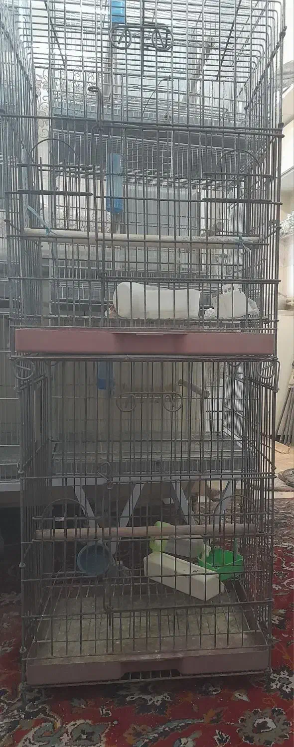 قفس|لوازم جانبی حیوانات|ساوه, |دیوار