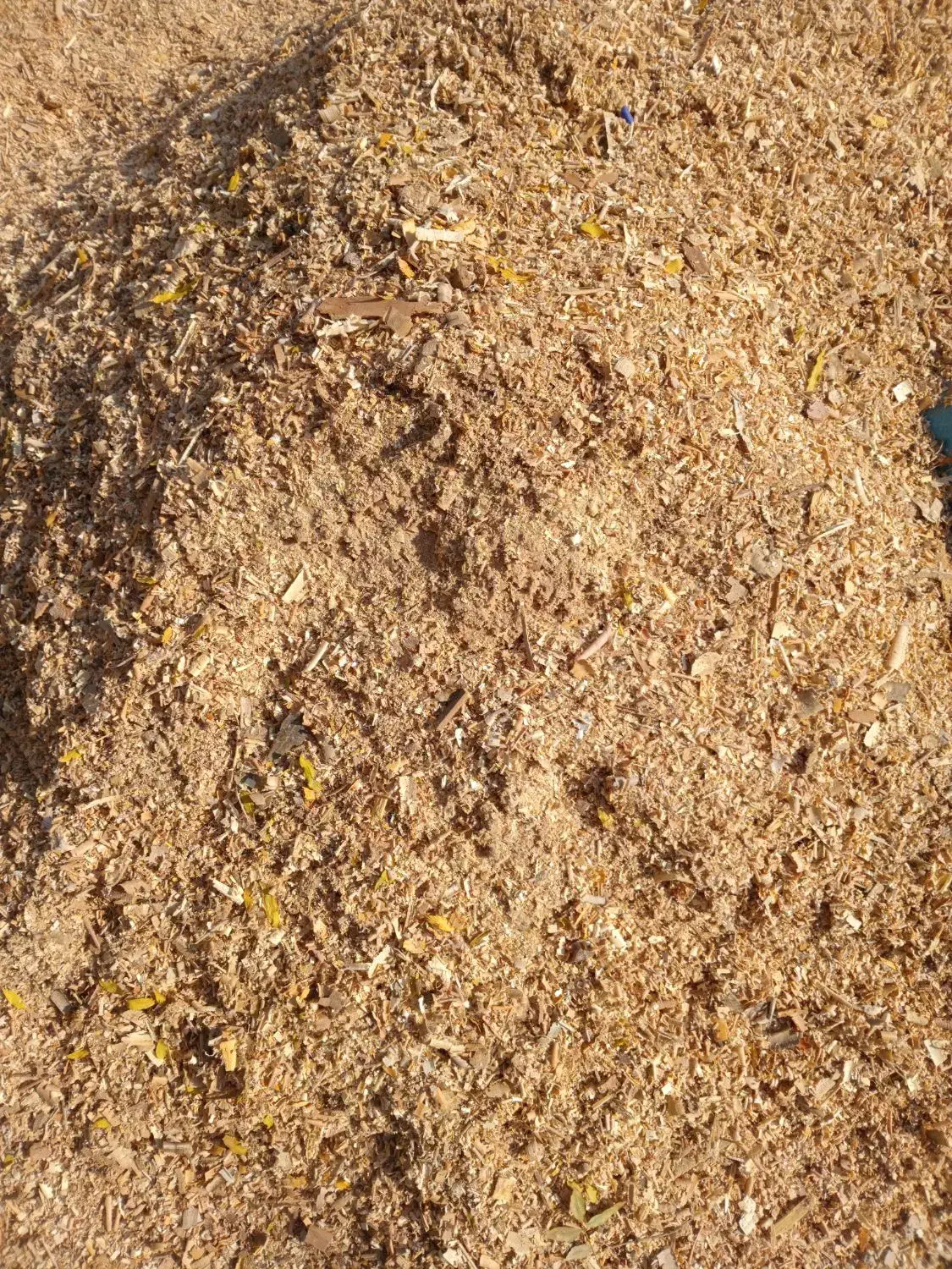 استخدام کارگر ساده|استخدام معماری، عمران و ساختمانی|محمدشهر, محمدشهر|دیوار