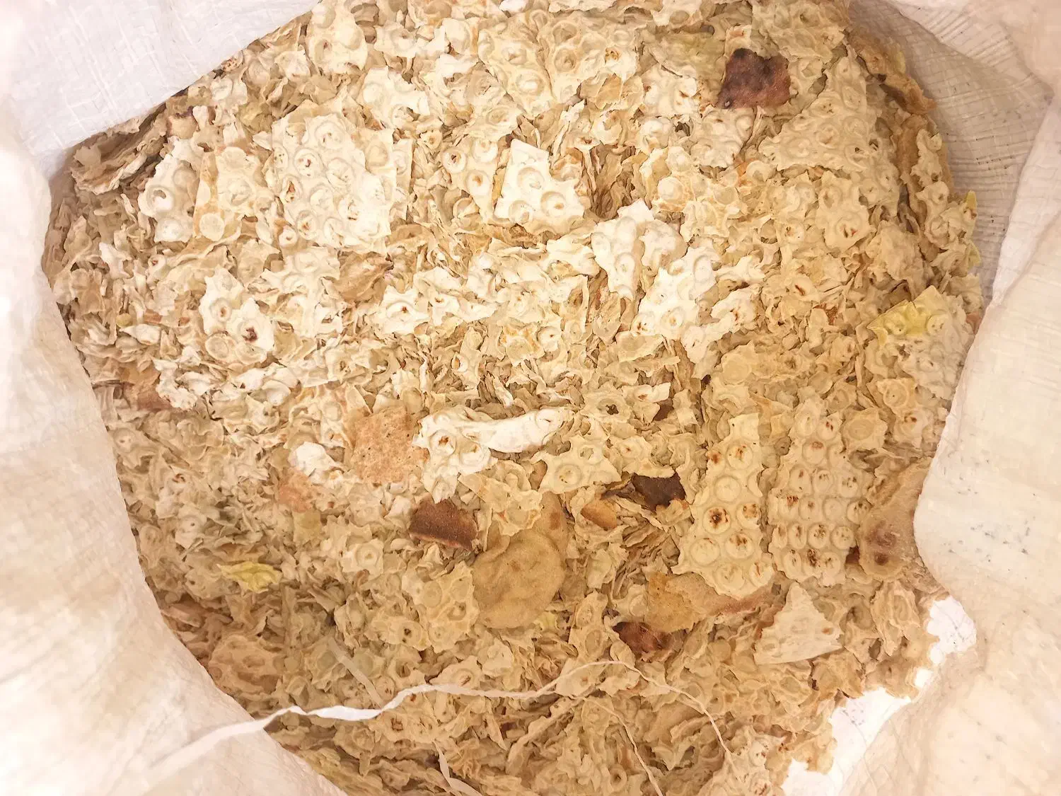 نان خشک|حیوانات مزرعه|بندر کنگان, |دیوار