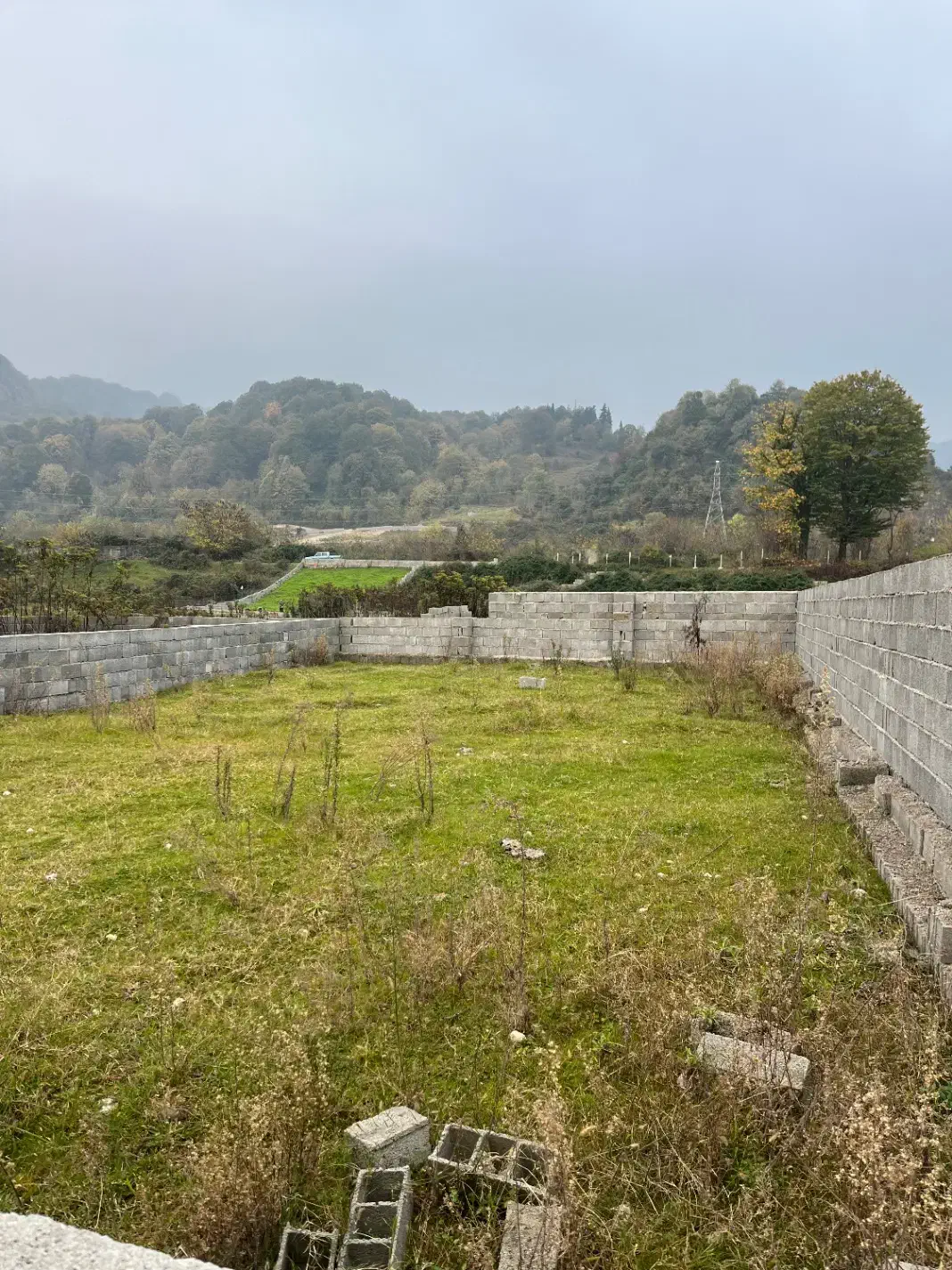 فروش فوری زمین ویو جنگل خیابان شعبانی|فروش زمین و ملک کلنگی|کلارآباد, |دیوار