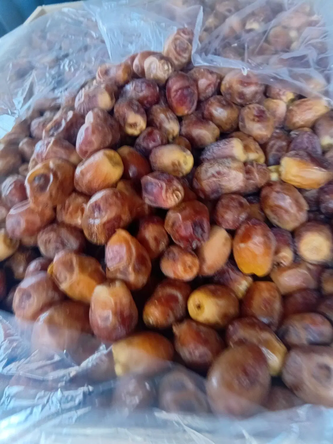 خرما زاهدی تازه نو برانی|خوردنی و آشامیدنی|تبریز, |دیوار