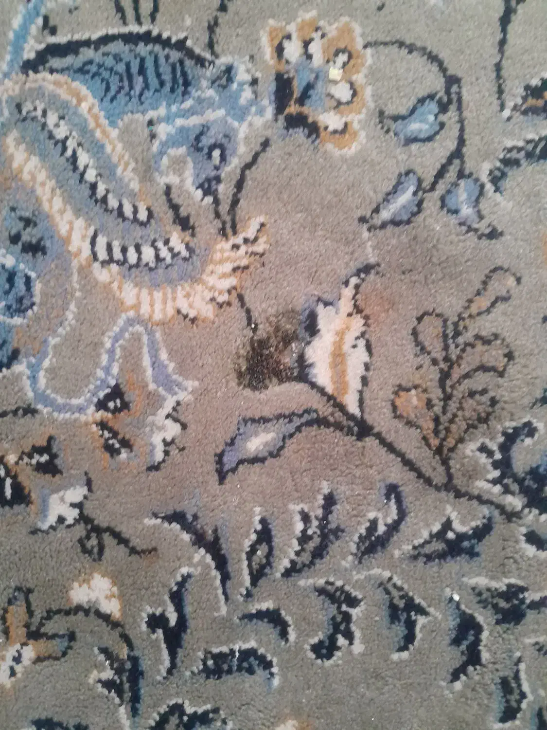 فرش ۱۲ متری|فرش|کرمانشاه, |دیوار