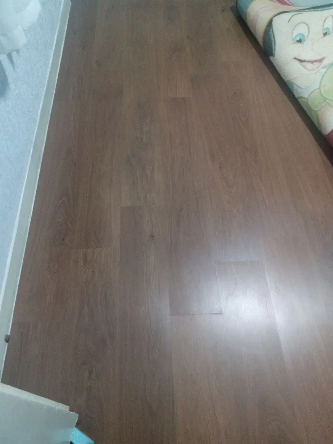 پارکت ام دی اف ضدخش|مصالح و تجهیزات ساختمان|قدس, شهرقدس|دیوار