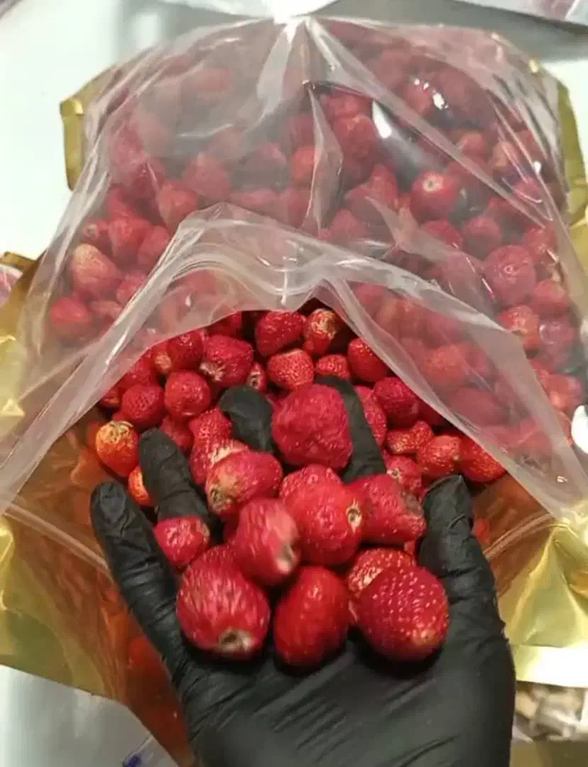 کاردرمنزل،کارباگوشی،همکاری ،جذب نیرو خانم|استخدام بازاریابی و فروش|درگز, |دیوار