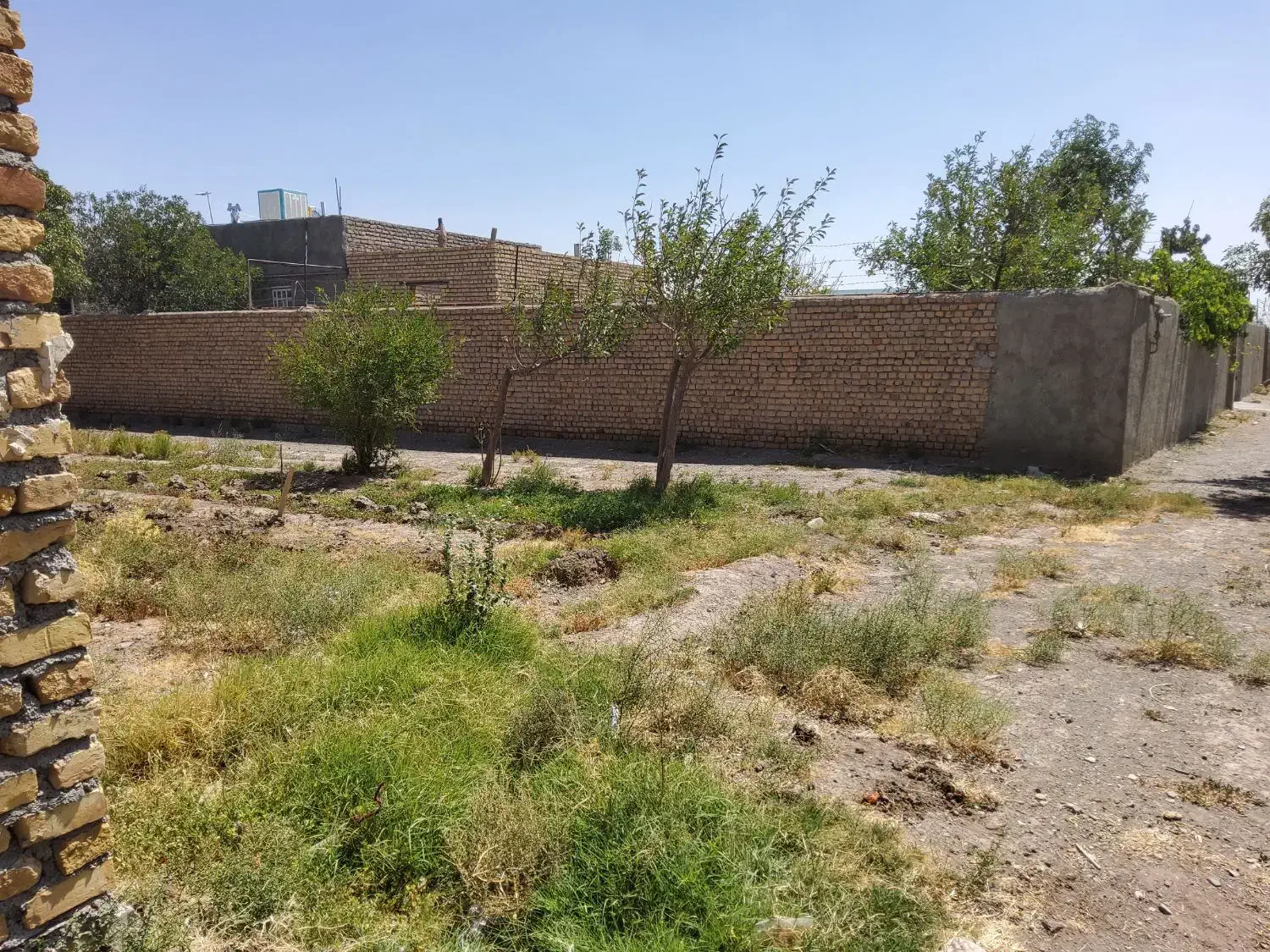 زمین خانه باغ|فروش زمین و ملک کلنگی|تربت‌حیدریه, بالا ولایت|دیوار