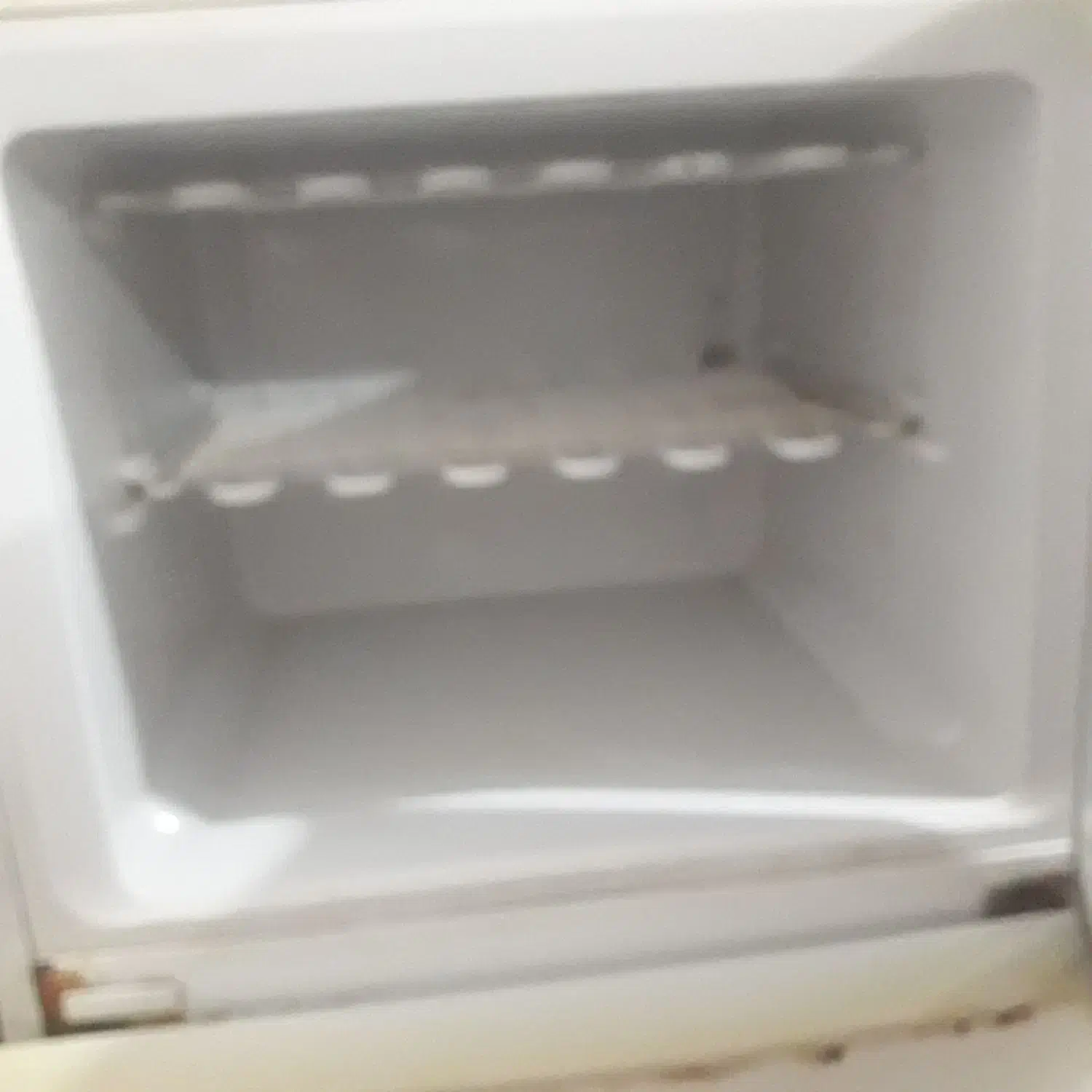 لوازم خانه|یخچال و فریزر|تالش, هشتپر|دیوار