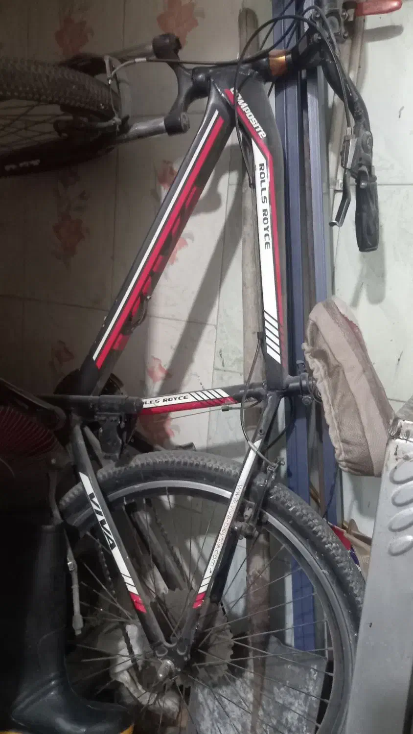 دوچرخه ویوا اصل ۲۶|دوچرخه، اسکیت، اسکوتر|باوی, |دیوار