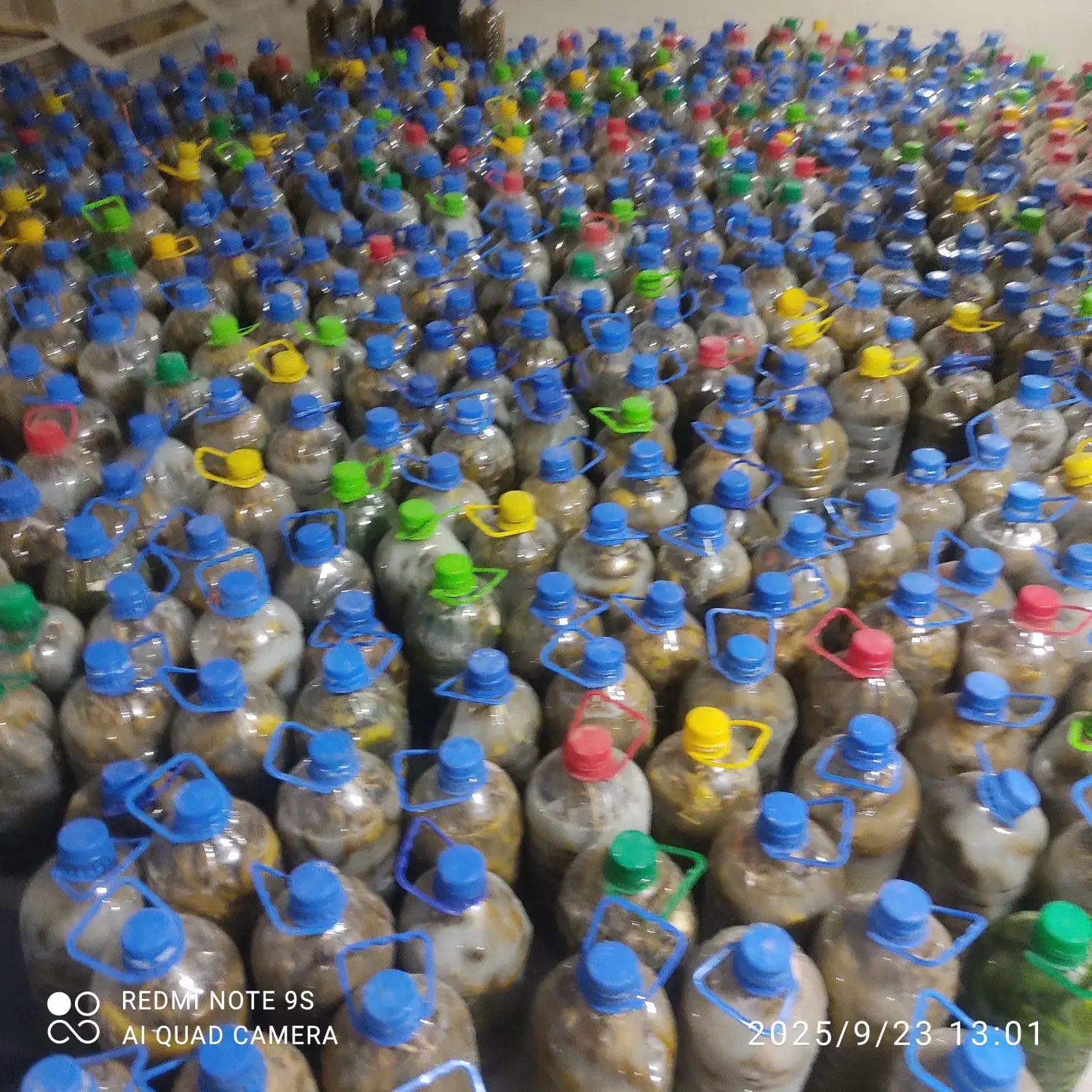 خیارشور|خوردنی و آشامیدنی|رباطکریم, رباطکریم|دیوار