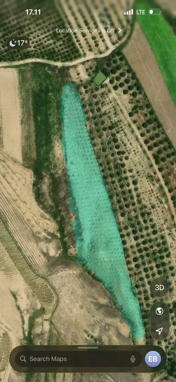 باغ زیتون|فروش زمین و ملک کلنگی|طارم, |دیوار