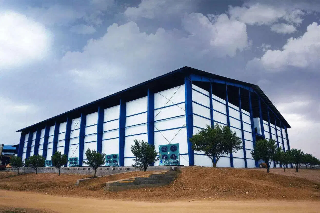 طراحی و ساخت سردخانه های بالای صفر و زیر صفری|ماشین‌آلات صنعتی|بندرعباس, |دیوار