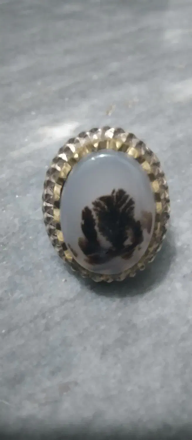 شجرقائنات‌زیبا|کلکسیون اشیاء عتیقه|قرچک, مهدیه|دیوار