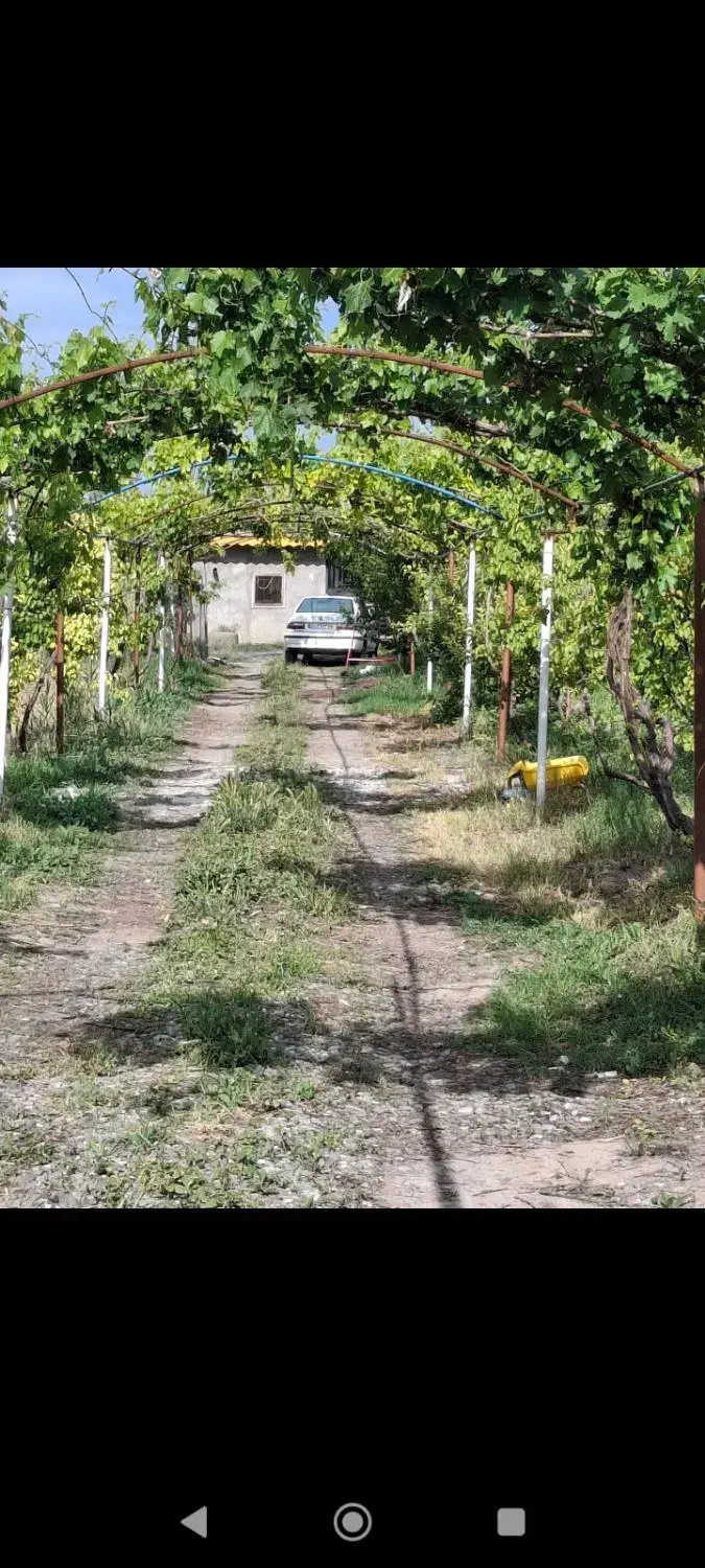 باغ برجاده|فروش دفتر صنعتی، کشاورزی، تجاری|خوی, |دیوار