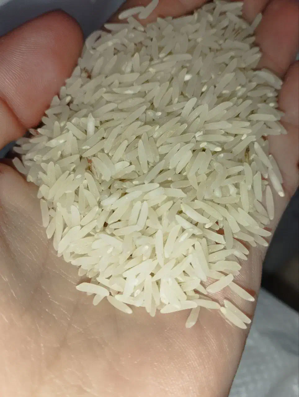 برنج ممتاز ایرانی و پسته|خوردنی و آشامیدنی|مشهد, ولیعصر (شهرک غرب)|دیوار