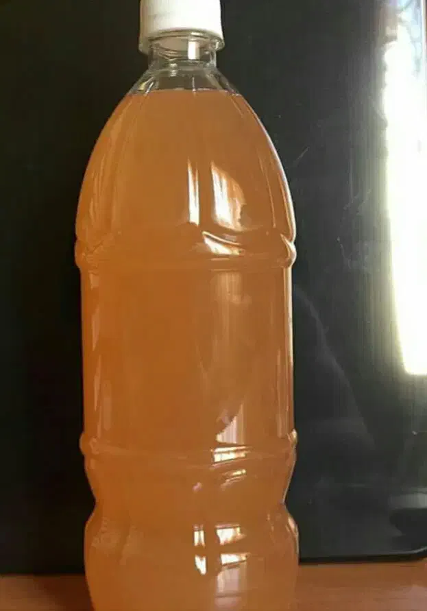 سرکه سیب|خوردنی و آشامیدنی|شیراز, تلخ داش|دیوار