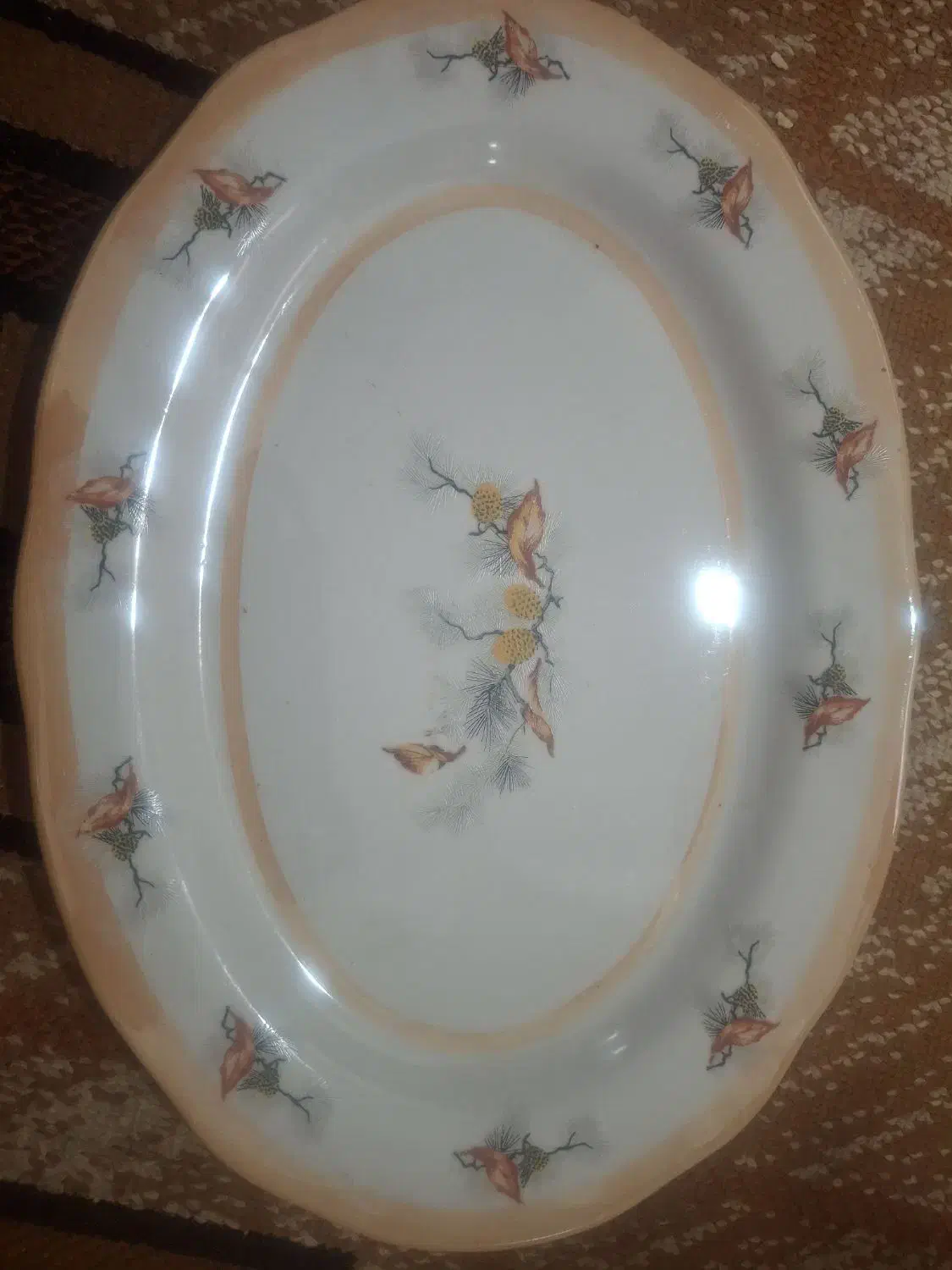 دیس|ظروف سرو و پذیرایی|آبادان, |دیوار