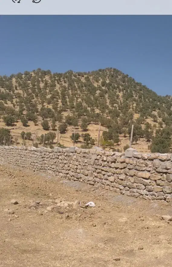 بنا|خدمات پیشه و مهارت|مسجد سلیمان, |دیوار