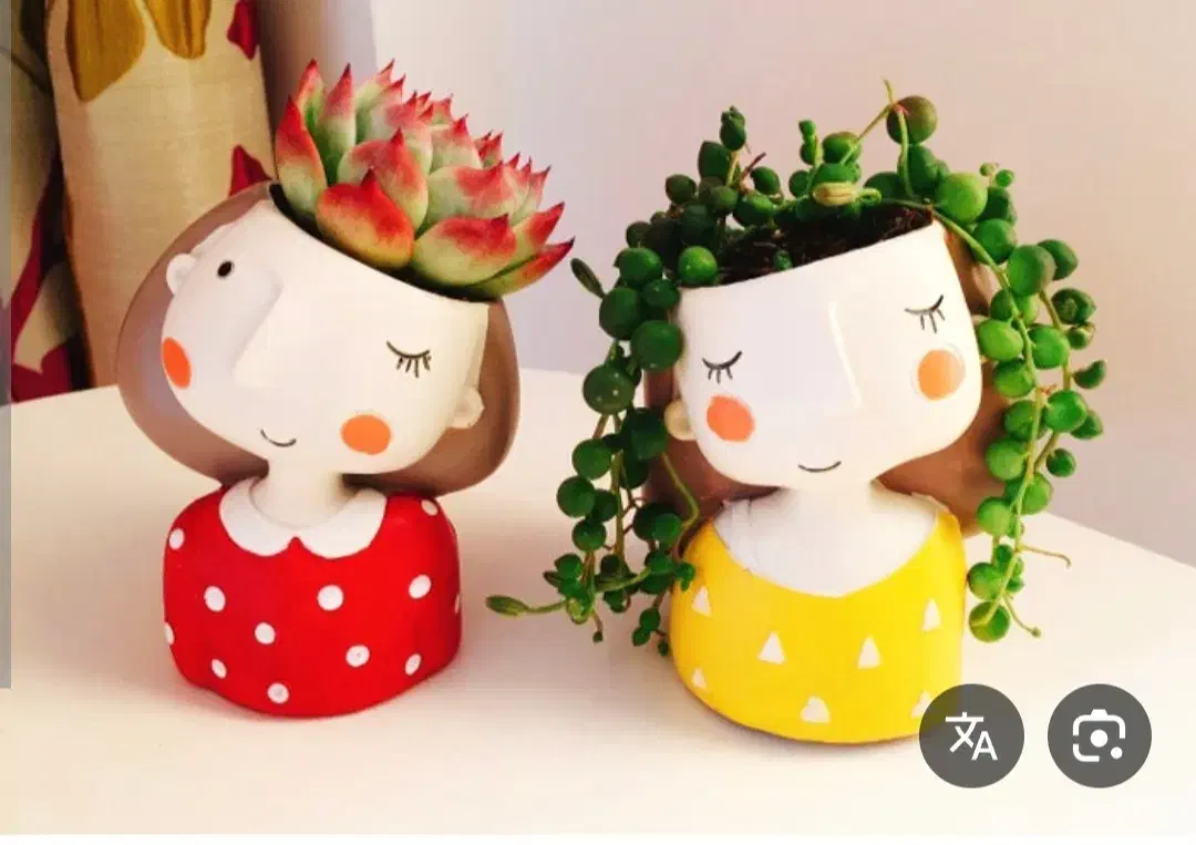 گلدان های کلاسیک|گل و گیاه طبیعی|قم, انسجام|دیوار