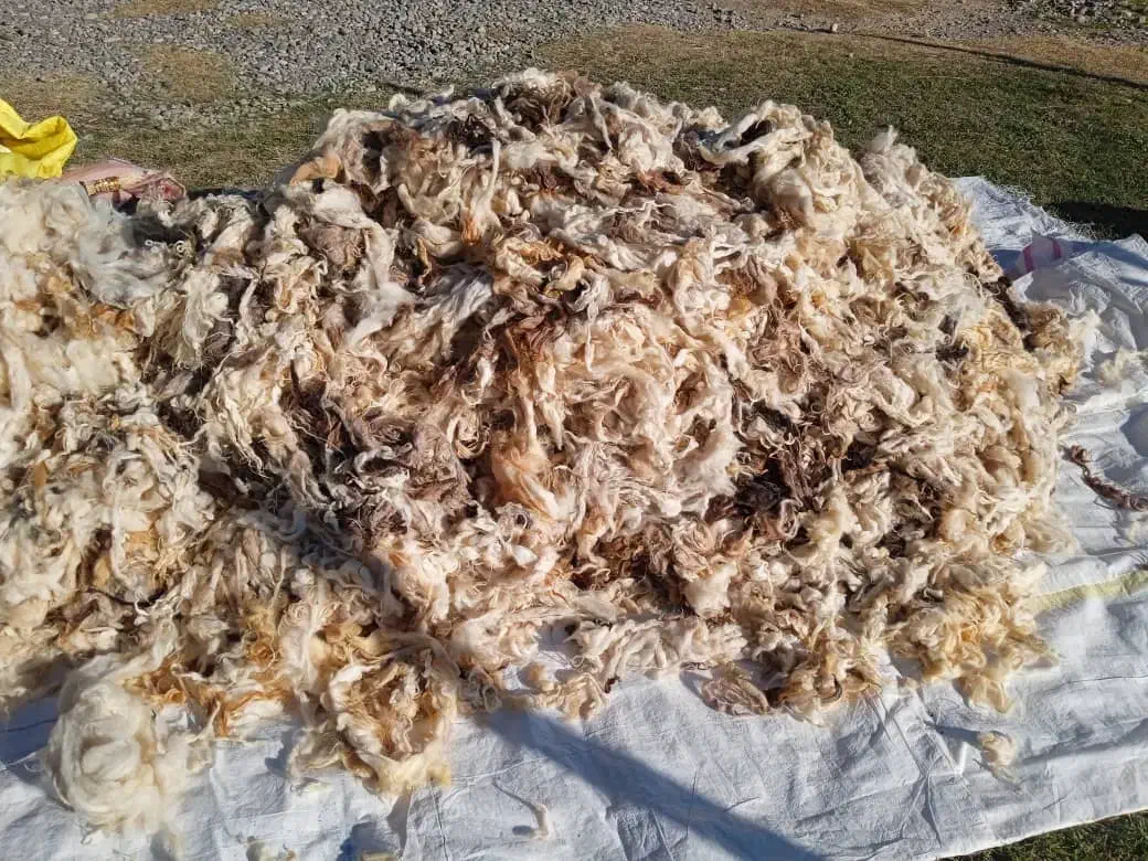 پشم گوسفند|رختخواب، بالش، پتو|پلدشت, |دیوار