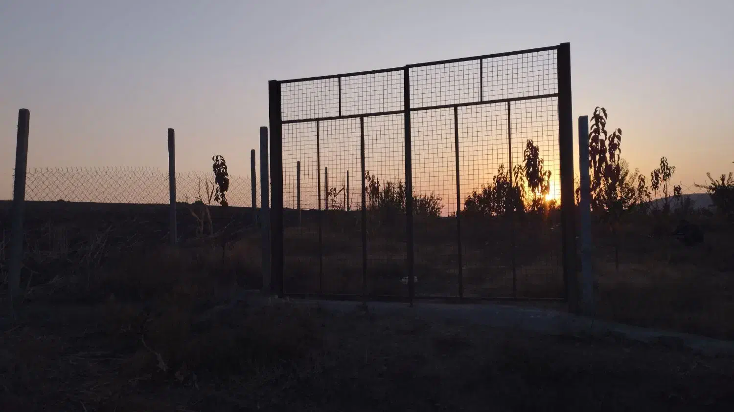 باغ دوهزار متری در زرنق|فروش دفتر صنعتی، کشاورزی، تجاری|میانه, |دیوار