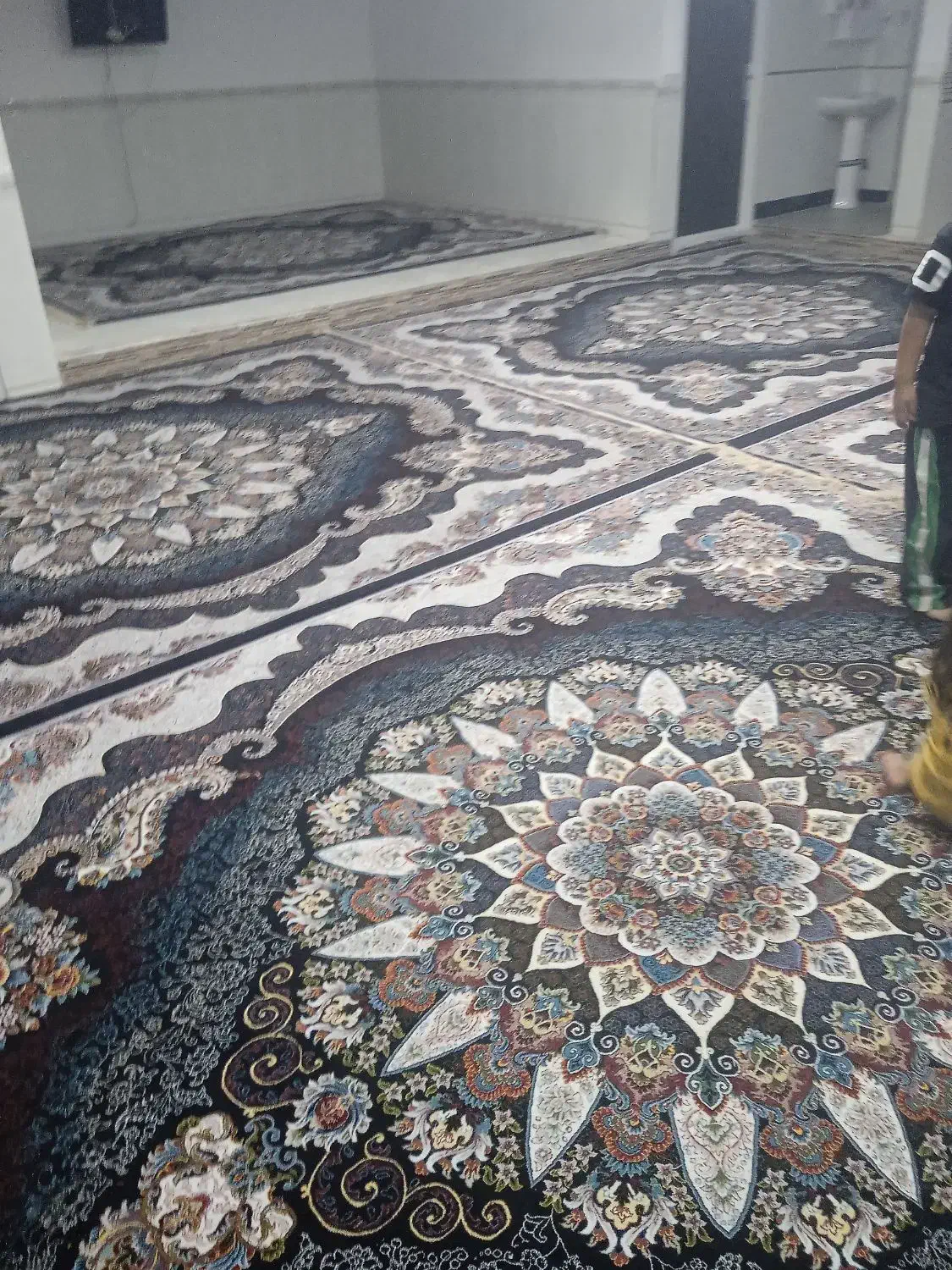 پنج عدد فرش دوازده متری تمام نخی|فرش|کوهدشت, |دیوار