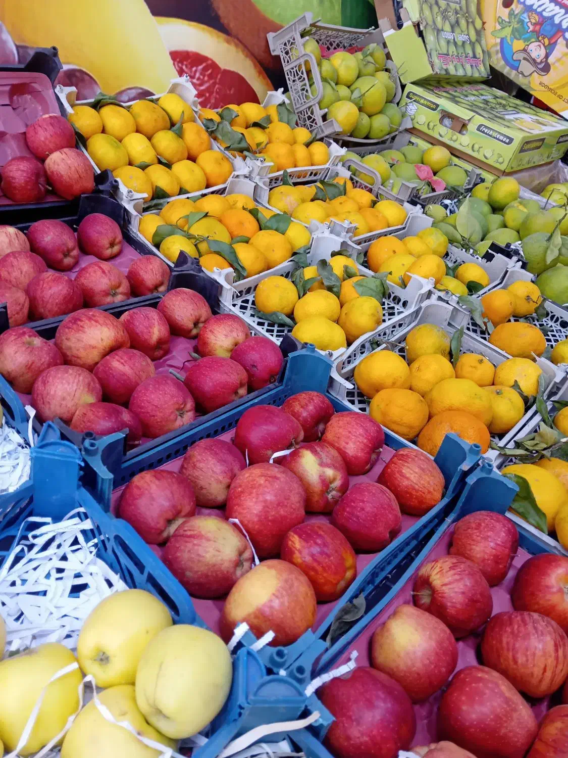 شاگرد در میوه فروشی|استخدام خدمات فروشگاه و رستوران|سیرجان, |دیوار