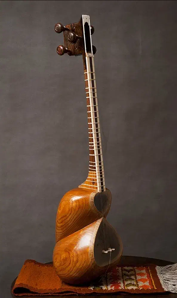 تدریس خصوصی و آنلاین تار برای بانوان و کودکان|خدمات آموزشی|تهران, فلسطین (میدان انقلاب)|دیوار