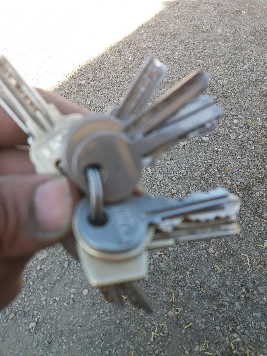 کلید تکی موتور سیکلت گم شده|اشیا|ملایر, |دیوار