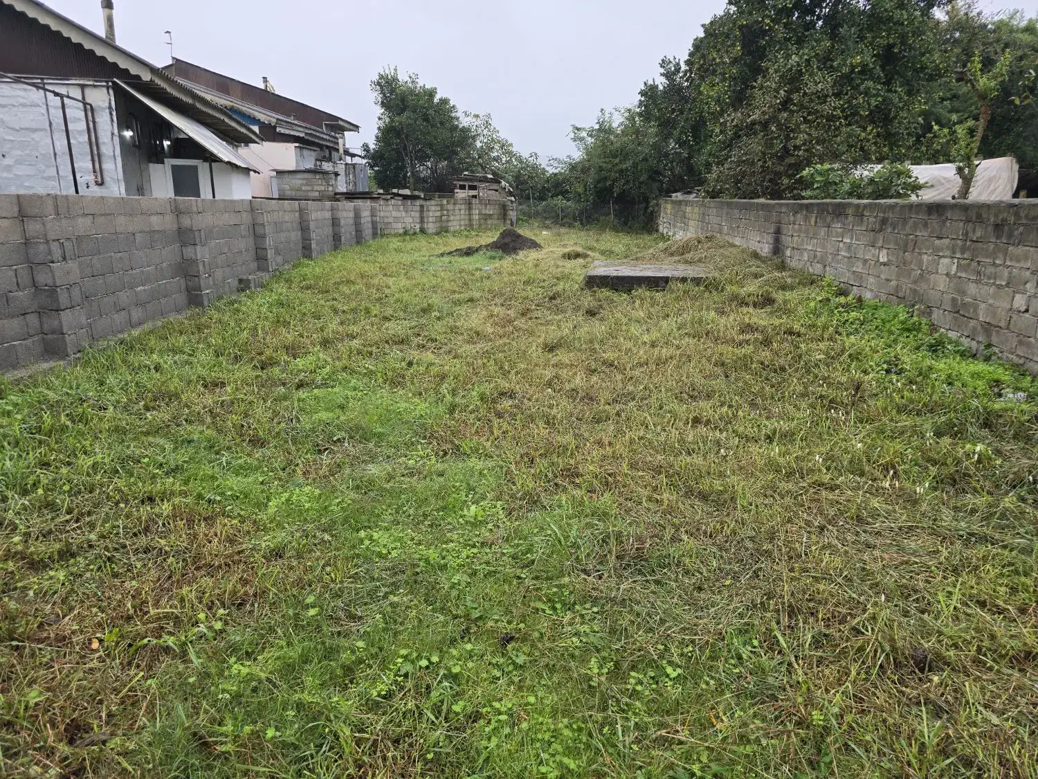 ۳۵۰ متر زمین مسکونی دور دیوار با سند تک برگ|فروش زمین و ملک کلنگی|رضوانشهر, |دیوار
