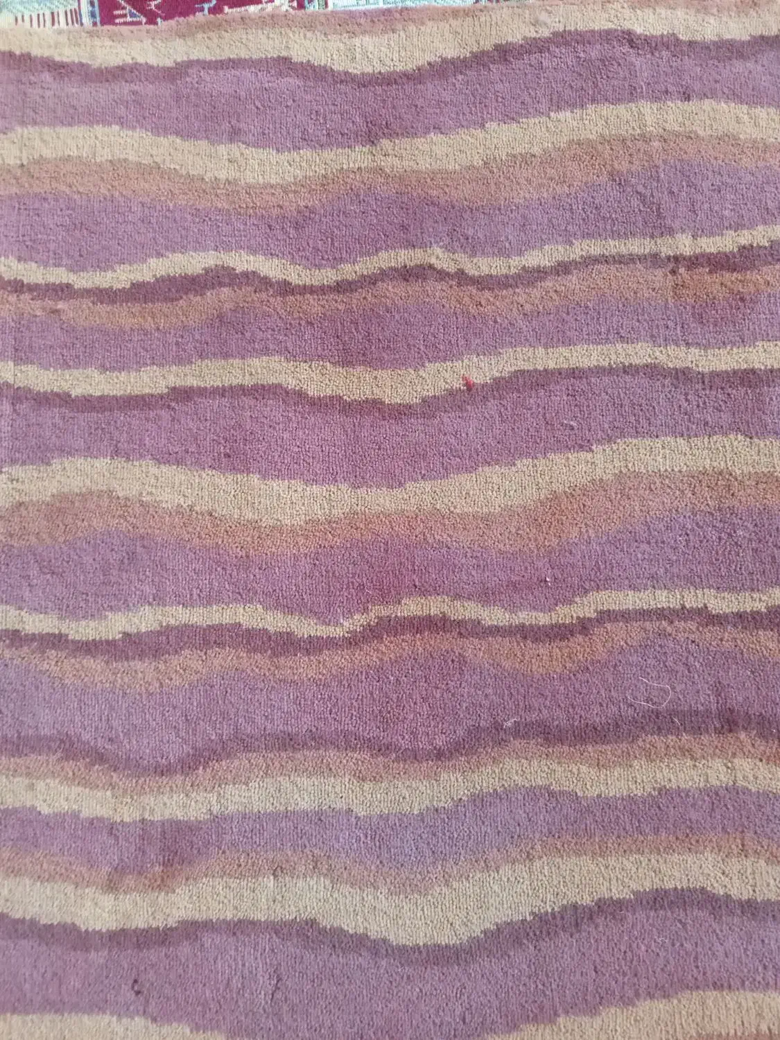 دلار موکت پرزدار عرض ۴متر طول ۷متر با کیفیت در حد|موکت|تهران, شهرک ابوذر|دیوار