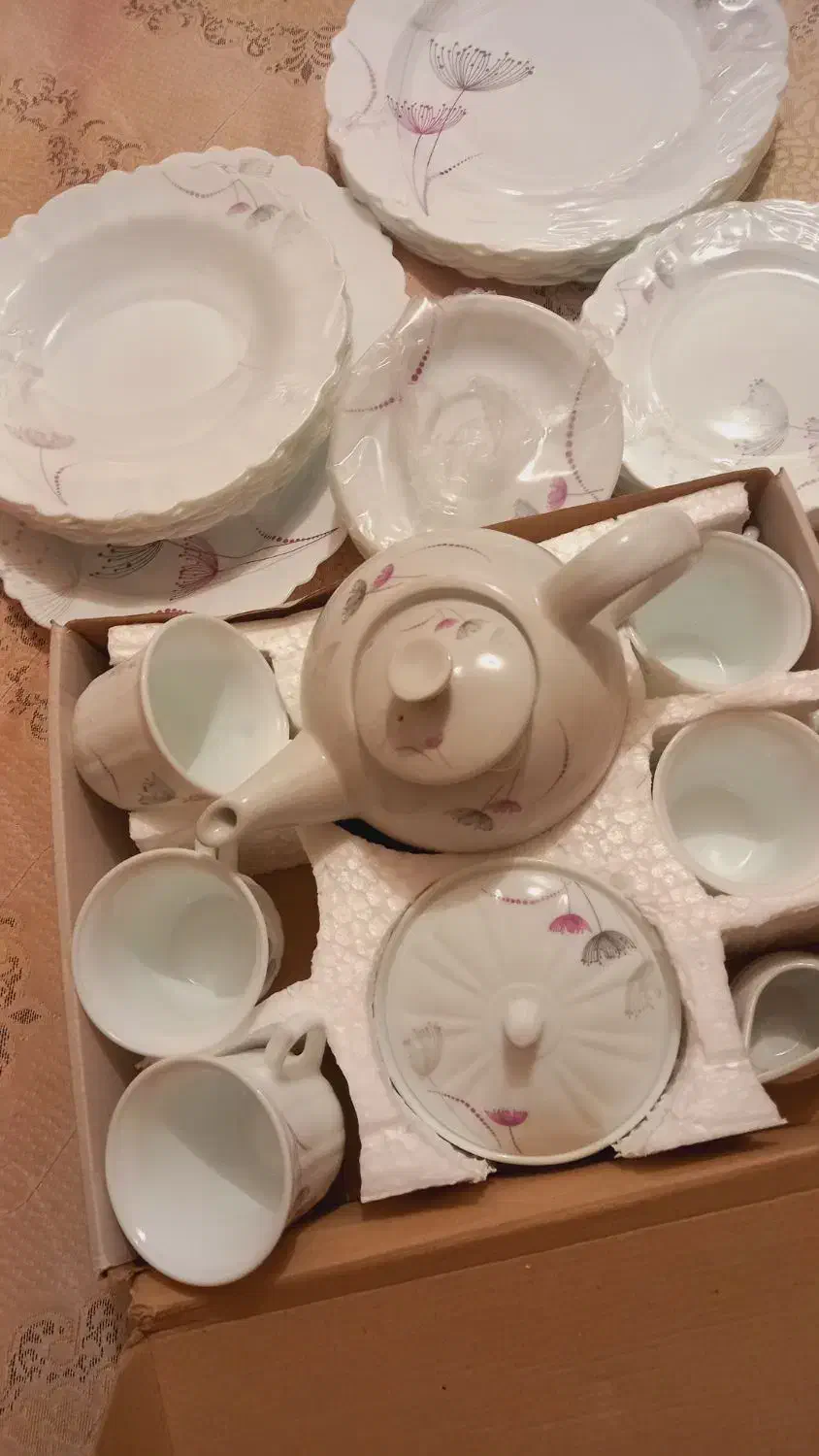 سرویس اکوپا|ظروف سرو و پذیرایی|دوگنبدان, |دیوار