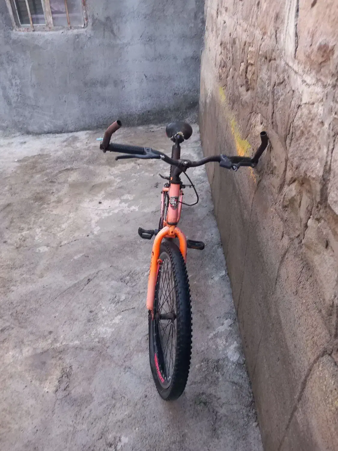 دوچرخه ۲۴|دوچرخه، اسکیت، اسکوتر|انگوت, |دیوار