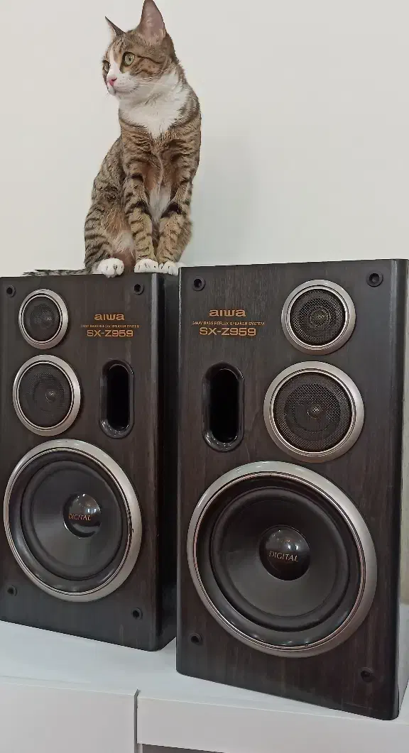 AIWA SX-Z959 اسپیکر Hi-Fi ساخت ژاپن ۱۹۹۶|سیستم صوتی خانگی|تهران, آزادشهر|دیوار