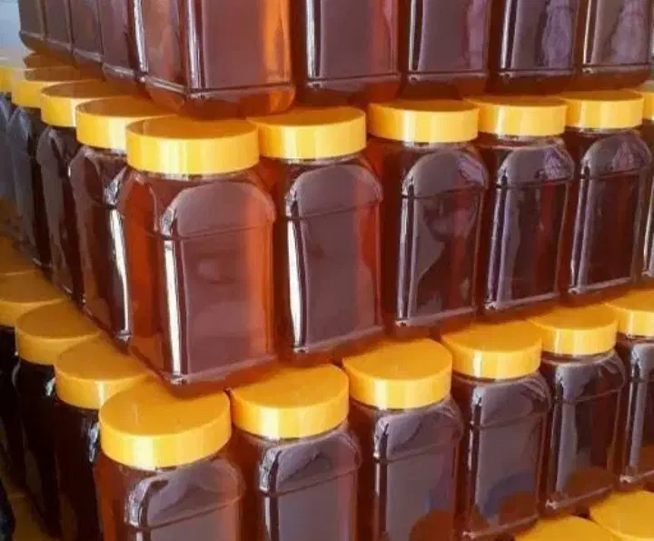 عسل طبیعی|خوردنی و آشامیدنی|محمدشهر, محمدشهر|دیوار