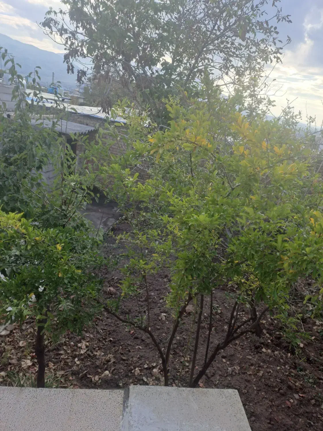 فروش خانه|فروش خانه و ویلا|جلفا, |دیوار