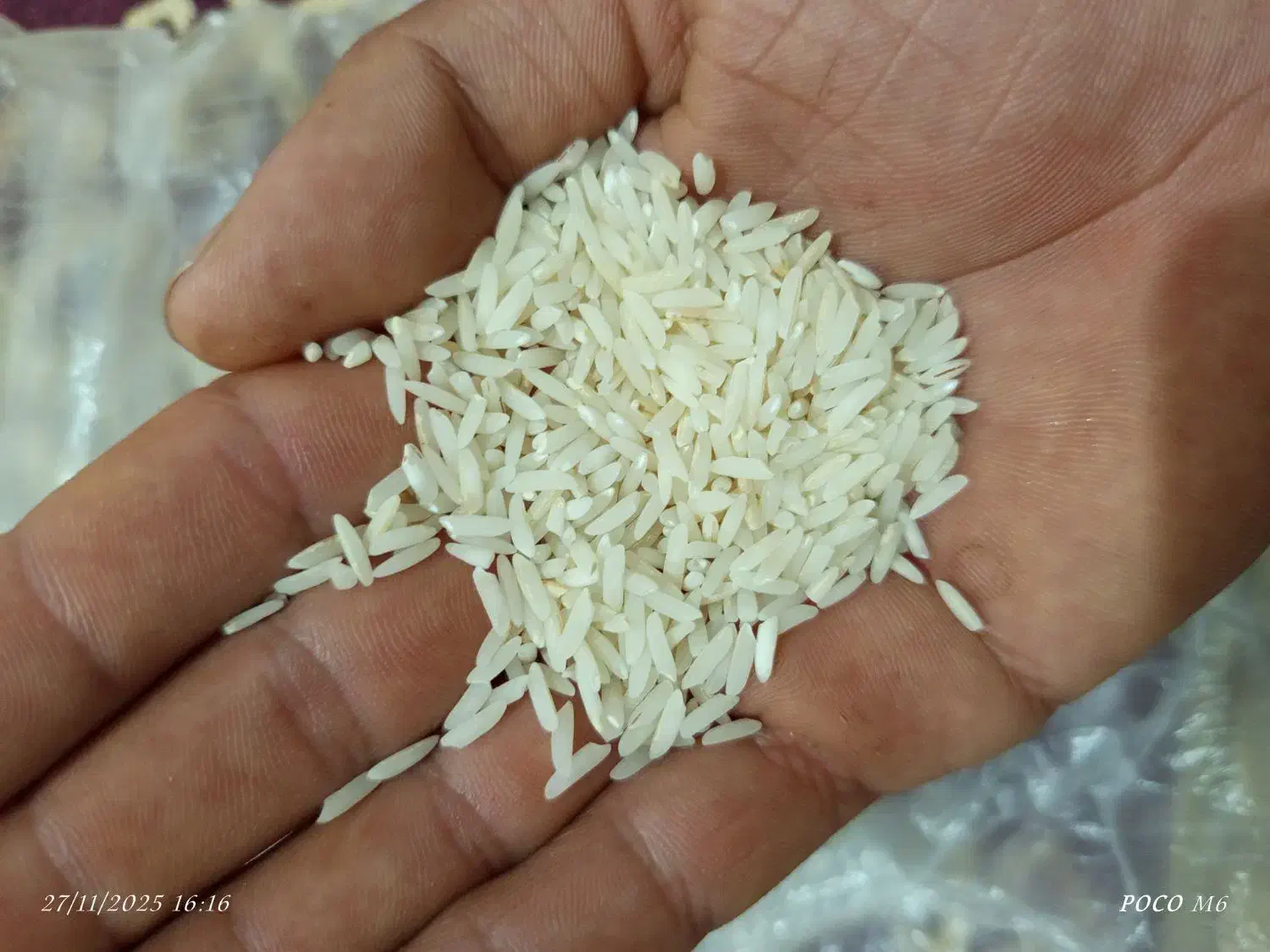 فروش برنج طارم هاشمی کشت اول|خوردنی و آشامیدنی|زرگرشهر, |دیوار