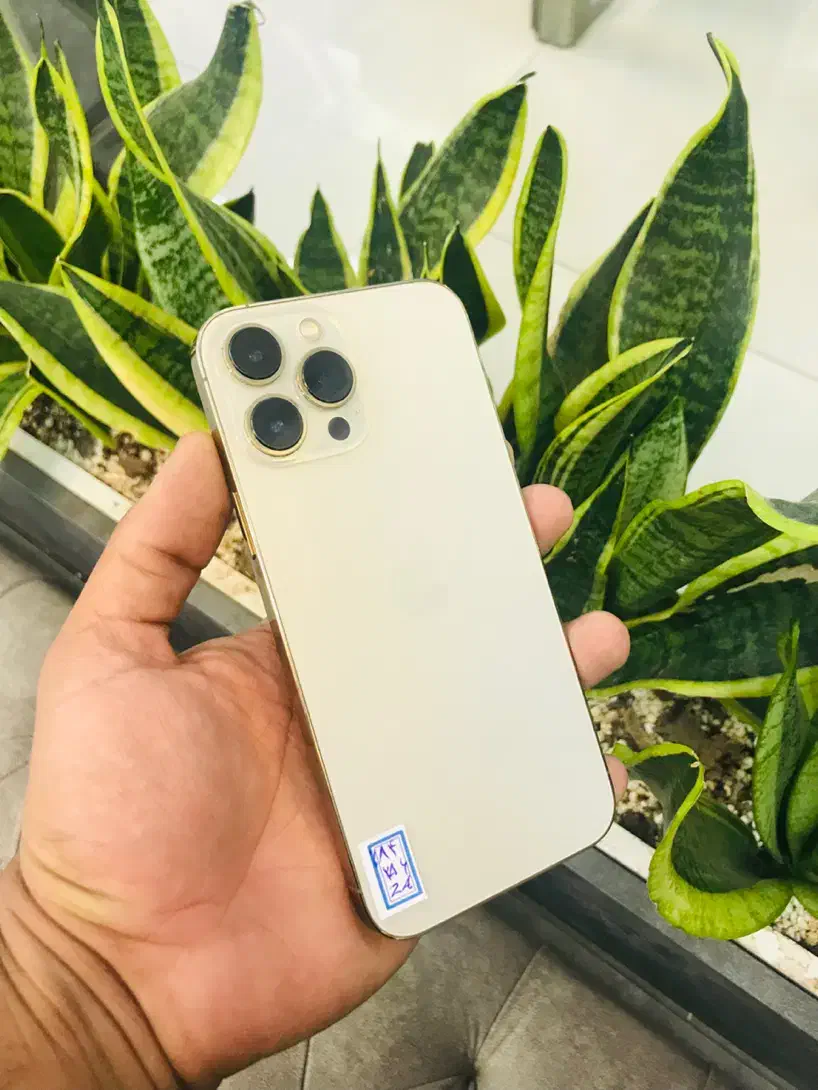 13promax خوشمزه|موبایل|اصفهان, احمدآباد|دیوار