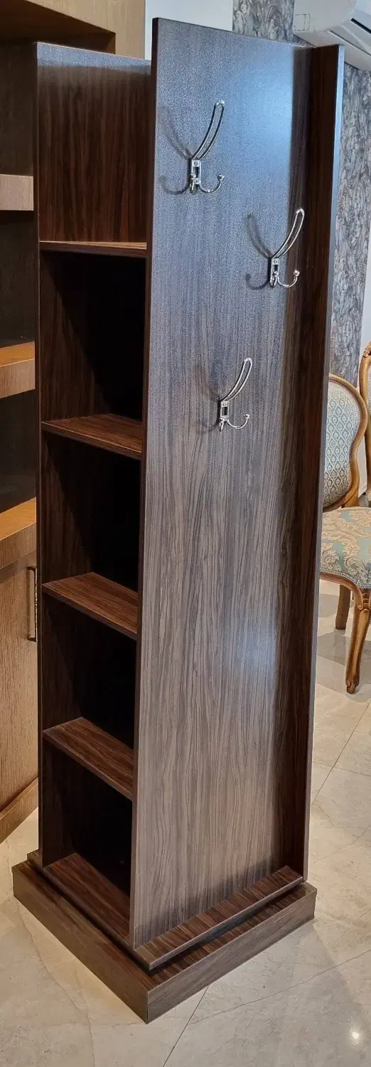 آینه و چوب لباسی گردان|جاکفشی، کمد، دراور|اصفهان, طامه|دیوار