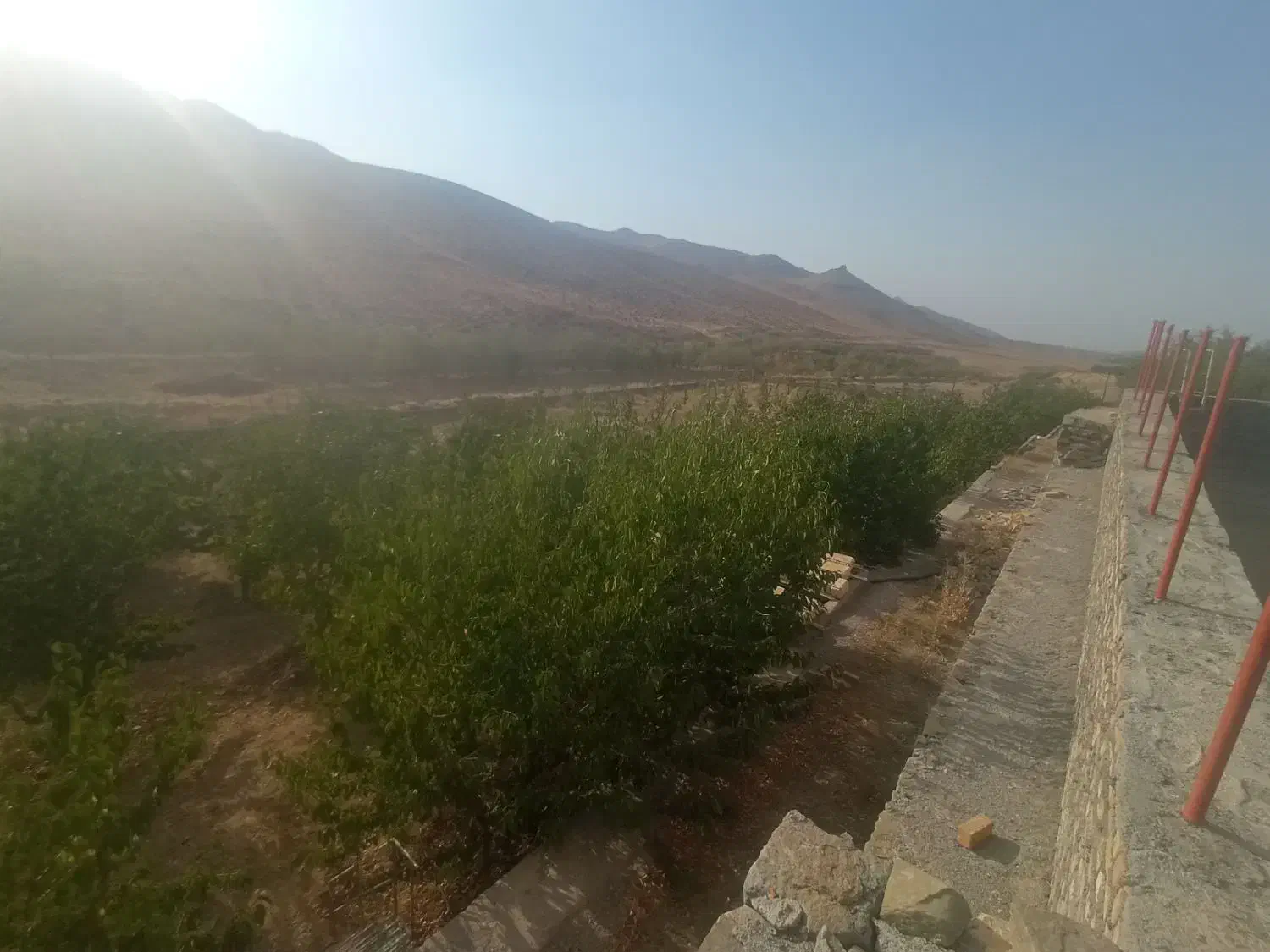 باغ ۵۰۰۰متری کرمجگان|فروش زمین و ملک کلنگی|قم, بکایی|دیوار