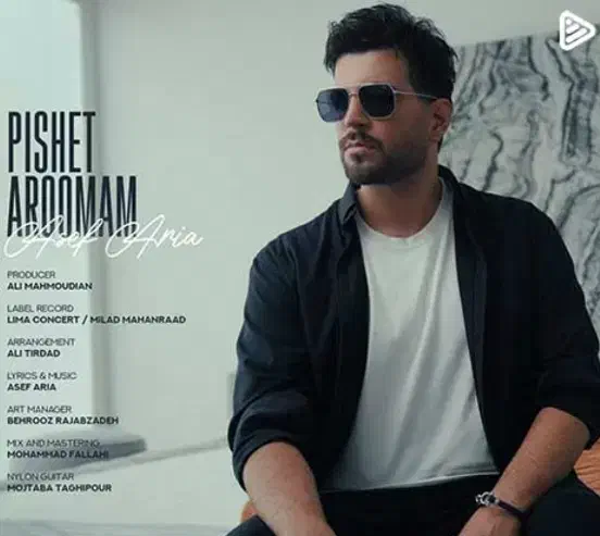 یک عدد بلیط کنسرت آصف آریا|بلیت کنسرت|همدان, |دیوار