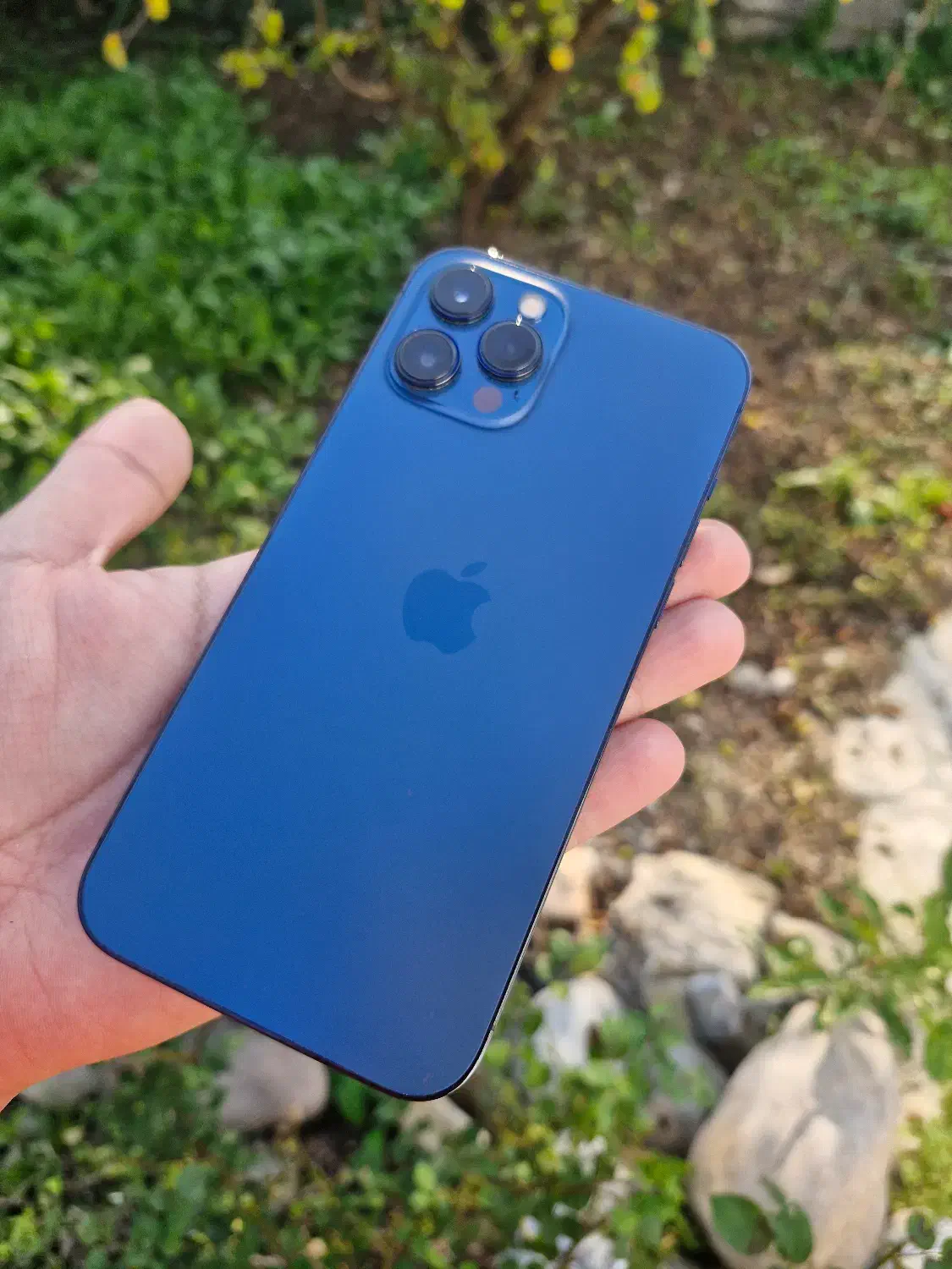 ایفون ۱۲ پرومکس 256 zaa|موبایل|قائم‌شهر, |دیوار