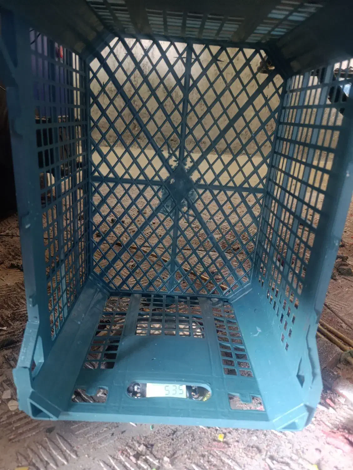 سبد ۱۴ کیلویی|ظروف نگهدارنده، پلاستیکی، یک‌بارمصرف|قائم‌شهر, |دیوار